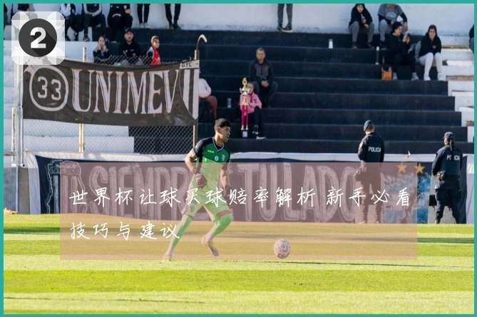 世界杯让球买球赔率解析 新手必看技巧与建议