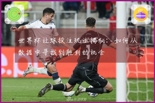 世界杯让球投注玩法揭秘：如何从数据中寻找到胜利的机会