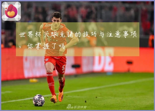 世界杯买球竞猜的技巧与注意事项，你掌握了吗