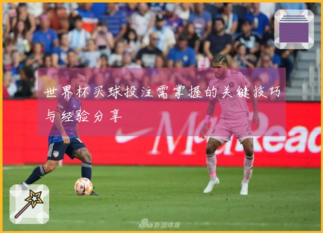 世界杯买球投注需掌握的关键技巧与经验分享