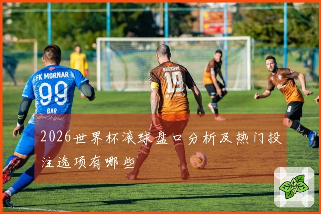 2026世界杯滚球盘口分析及热门投注选项有哪些