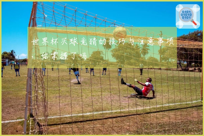 世界杯买球竞猜的技巧与注意事项，你掌握了吗