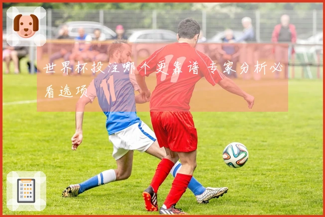 世界杯投注哪个更靠谱 专家分析必看选项
