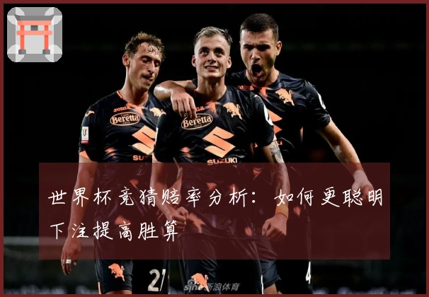 世界杯竞猜赔率分析：如何更聪明下注提高胜算
