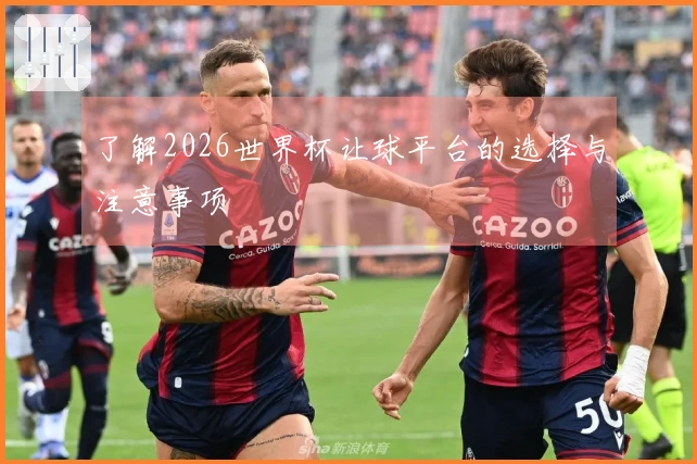 了解2026世界杯让球平台的选择与注意事项