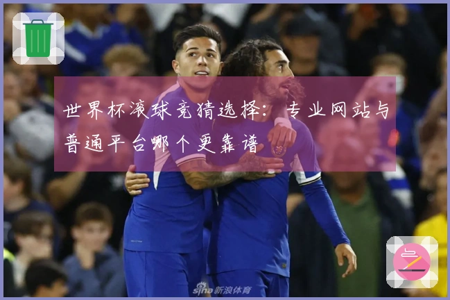世界杯滚球竞猜选择：专业网站与普通平台哪个更靠谱
