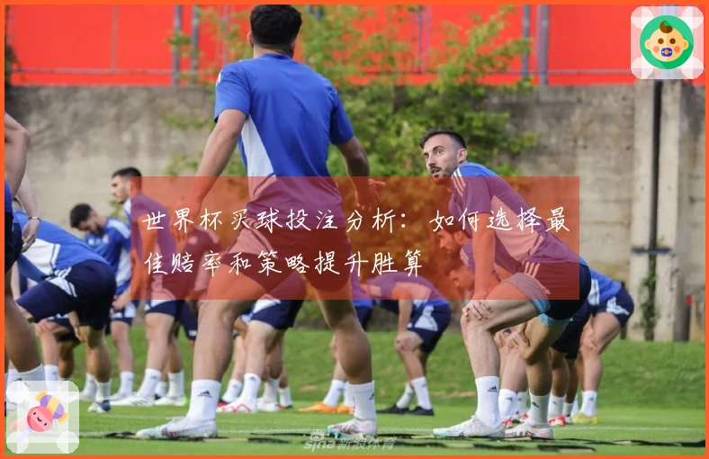 世界杯买球投注分析：如何选择最佳赔率和策略提升胜算