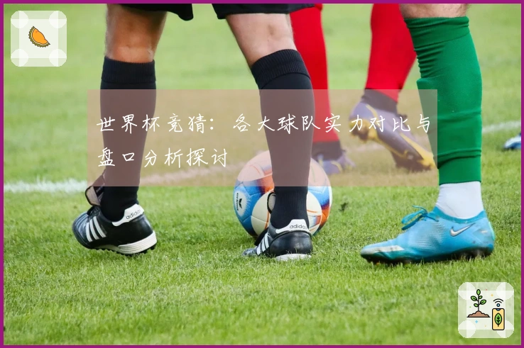 世界杯竞猜：各大球队实力对比与盘口分析探讨
