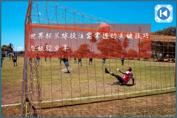 世界杯买球投注需掌握的关键技巧与经验分享